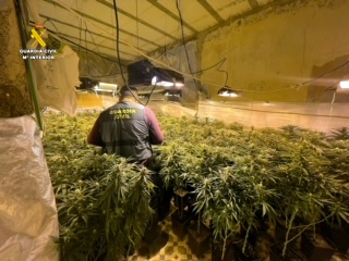 Une tres casas con butrones, engacha la luz, y cultiva marihuana