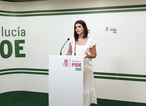 El PSOE no ve hechos para implantar Medicina en Almería