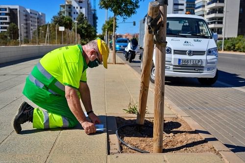 67.000 m² más serán includios en el mantenimiento de zonas verdes y arbolado