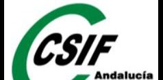 CSIF denuncia el perjuicio a 500 vigilantes de seguridad privada de la provincia por el nuevo convenio estatal