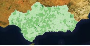 Solo 11 nuevos contagios covid-19 en Almería