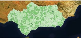 71 contagios en Almería y la incidencia sigue subiendo