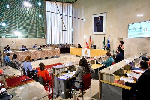 El PSOE de Almería no respalda la condena del acoso al menor de Canet