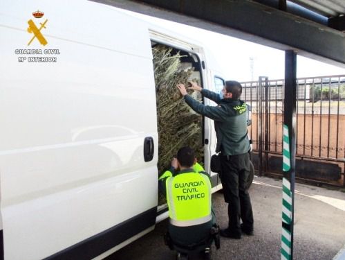 La Guardia Civil desarrolla en estos momento una operación antidroga en Almería