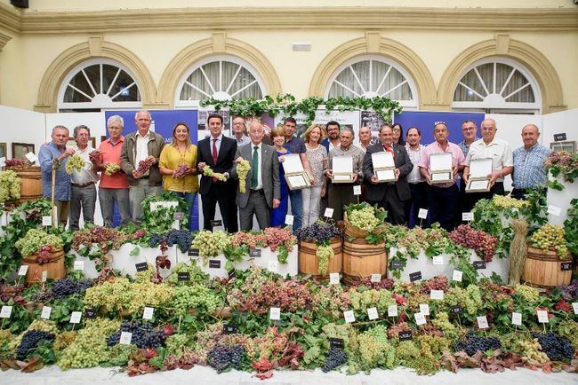 Tíjola alberga este domingo el reparto de parras de variedades históricas de uva