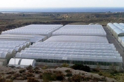 Almería es el territorio ibérico que más suelo pierde por erosión hídrica