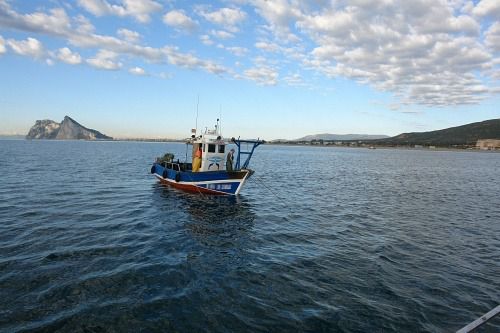 La prórroga de ayudas directas al sector de la pesca ya han sido pedidas