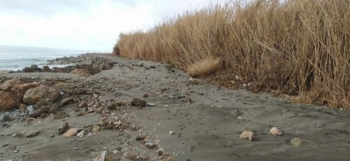 MITECO da el ok al informe de impacto ambiental para mejorar el cauce del río Adra