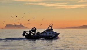 Concurso fotográfico ‘Medio Rural y Pesquero en Andalucía 2022’