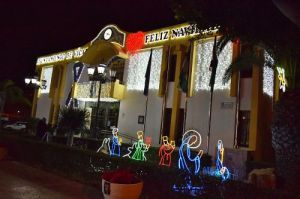 Vícar se Enlagana Con Flores De Pascua Para La Navidad