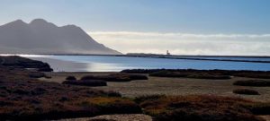 Las aves vuelve a las Salinas de Cabo de Gata