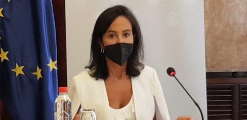 Pardo de Vera cree que la Junta 'amenaza la viabilidad' del soterramiento