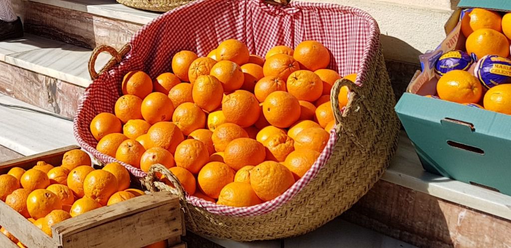 Gádor espera a toda Almería en el Dïa de la Naranja