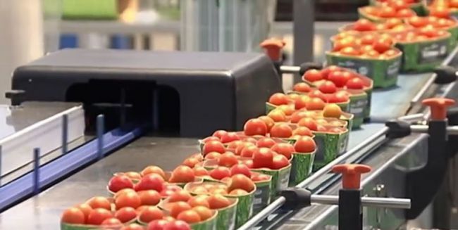 Almería lidera las exportaciones agroalimentarias pero Sevilla crece el doble