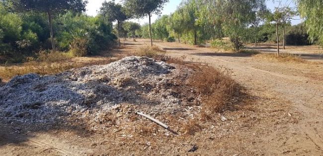 El Parque del Andarax acoge un encuentro de Scout Católicos