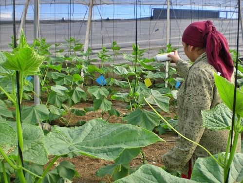 Asaja analiza las relaciones laborales en el campo