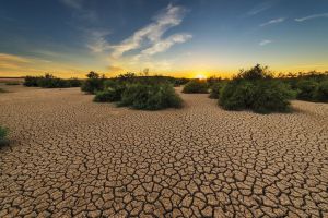 La sequía provoca una crisis sin precedentes en el sector agrario