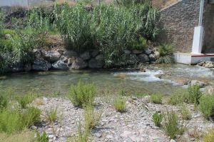 Roquetas de Mar se suma a la lucha contra la basuraleza en el Día Mundial del Medioambiente