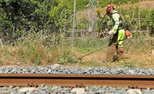 La Mesa del Ferrocarril de Almería reclama a Renfe una tarifa reducida hasta que mejore el servicio