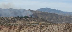 Tres incendios forestales esclarecidos en Almería por la Policía Andaluza