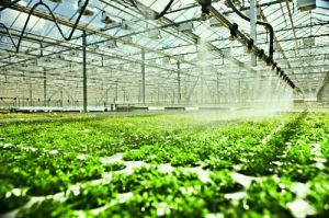 El precio de la tierra de cultivo en Almería sigue al alza