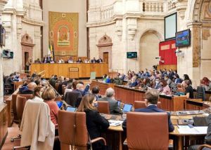 Los temas almerienses que llegan esta semana al Parlamento Andaluz