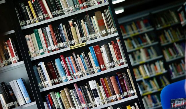 Las bibliotecas de Almería se llenan de magia en su día