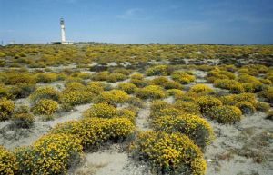 Un pueblo de Almería con protección ambiental del 100%