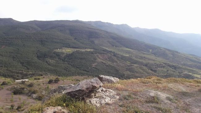 Casi un centenar de desbroces ha hecho la Junta en Almería