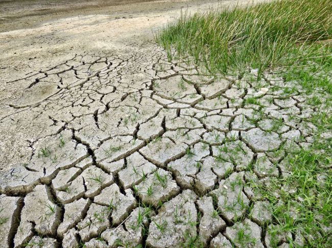 COAG: El turismo no se puede llevar el agua de la agricultura