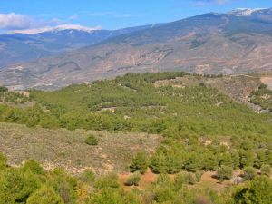 Conoce las claves de la reforma de la Ley de Gestión Ambiental