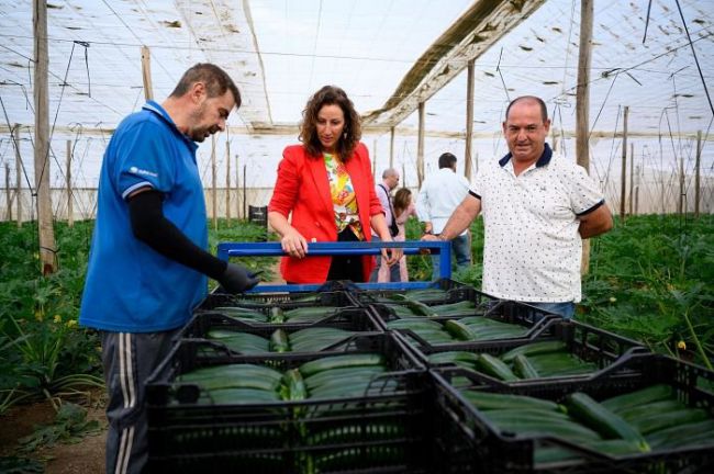 El PP lleva al pleno municipal una moción en apoyo a agricultores