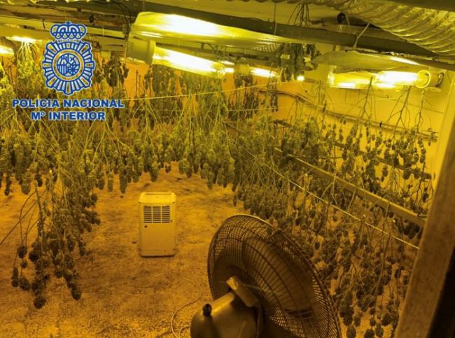 Buena noticia para los almerienses que se quedan sin luz por la marihuana