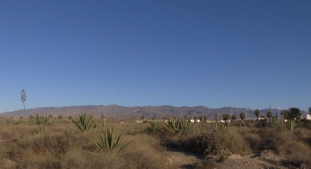 El GEM avisa que el Festival Dreambeach Amenaza la Biodiversidad de Almería