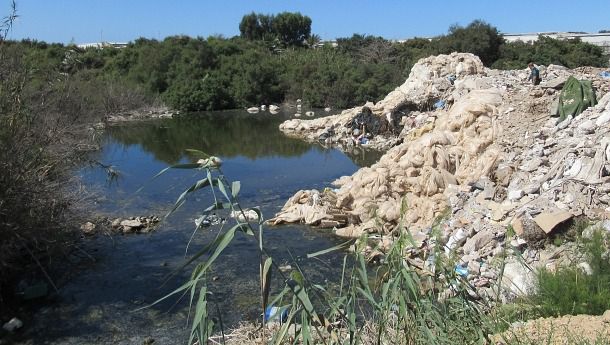 Los microplásticos modifican la biodiversidad bacteriana en suelos agrícolas