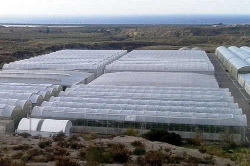 Ecologistas en Acción: Agricultura industrial causa degradación medioambiental en Almería