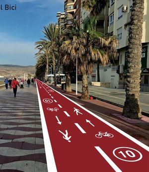 Plan para mejorar todos los carriles-bici de la ciudad