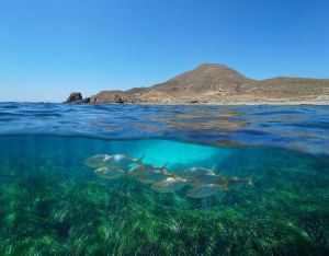 Cabo de Gata-Níjar revalida como Geoparque Mundial de la UNESCO