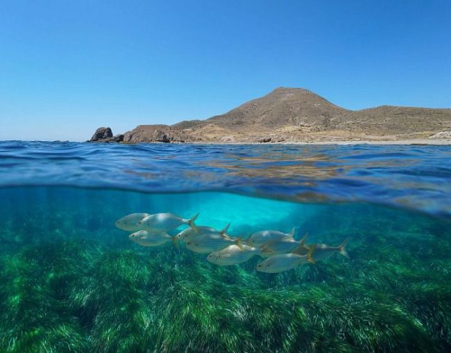 Cabo de Gata-Níjar revalida como Geoparque Mundial de la UNESCO