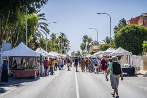 Roquetas de Mar es la sexta ciudad andaluza con más autónomos