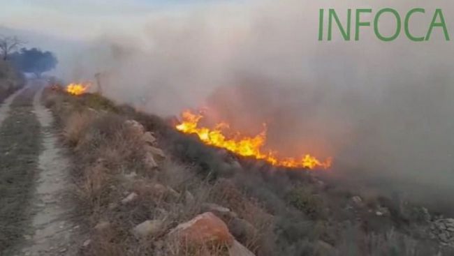 Ya han ardido 10.000 hectáreas forestales en España