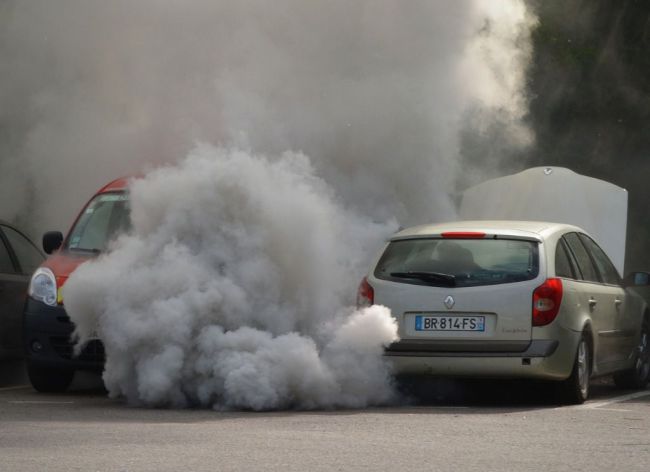 Roquetas de Mar y Viator son los únicos ayuntamientos con huella de carbono de Andalucía