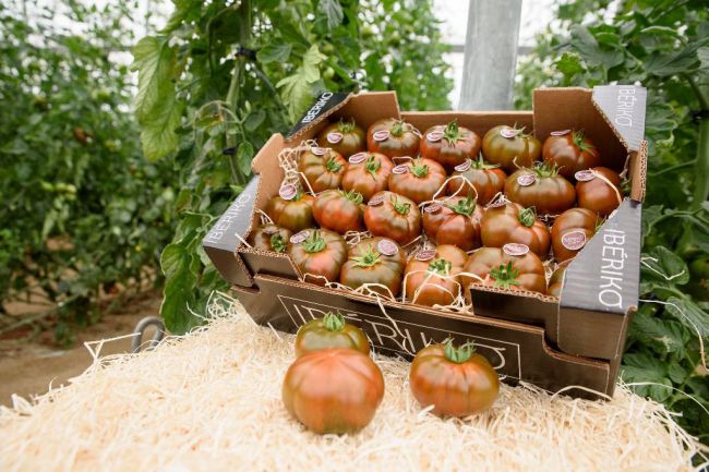 En defensa del tomate europeo