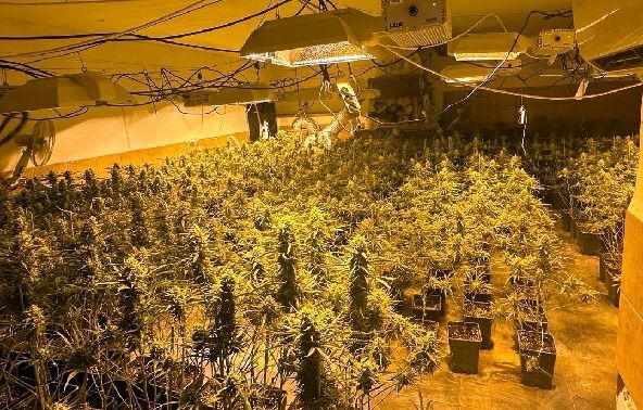 Policía Nacional desarticula granja de marihuana en nave de la Sareb en Viator