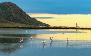 Fotógrafo, bióloga, psicólogo y economista: los héroes del medio ambiente en Almería