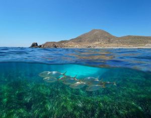 La Junta conmemora la semana de los Geoparques Europeos en Cabo de Gata- Níjar