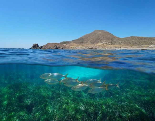 La Junta conmemora la semana de los Geoparques Europeos en Cabo de Gata- Níjar