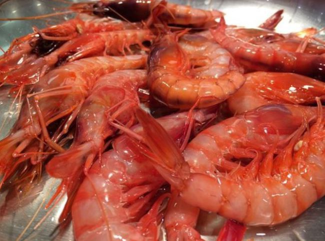 Productores Pesqueros de Almería lanza la marca de calidad 'Gamba Roja de Almería'