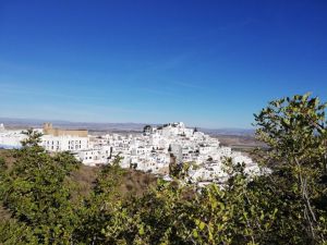 El 9% de las viviendas en Mojácar son turísticas, y Consumo quiere investigarlo