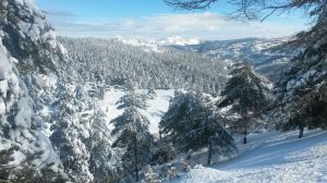 La ampliación de la Reserva de la Biosfera de Sierra Nevada se debate en Bayárcal